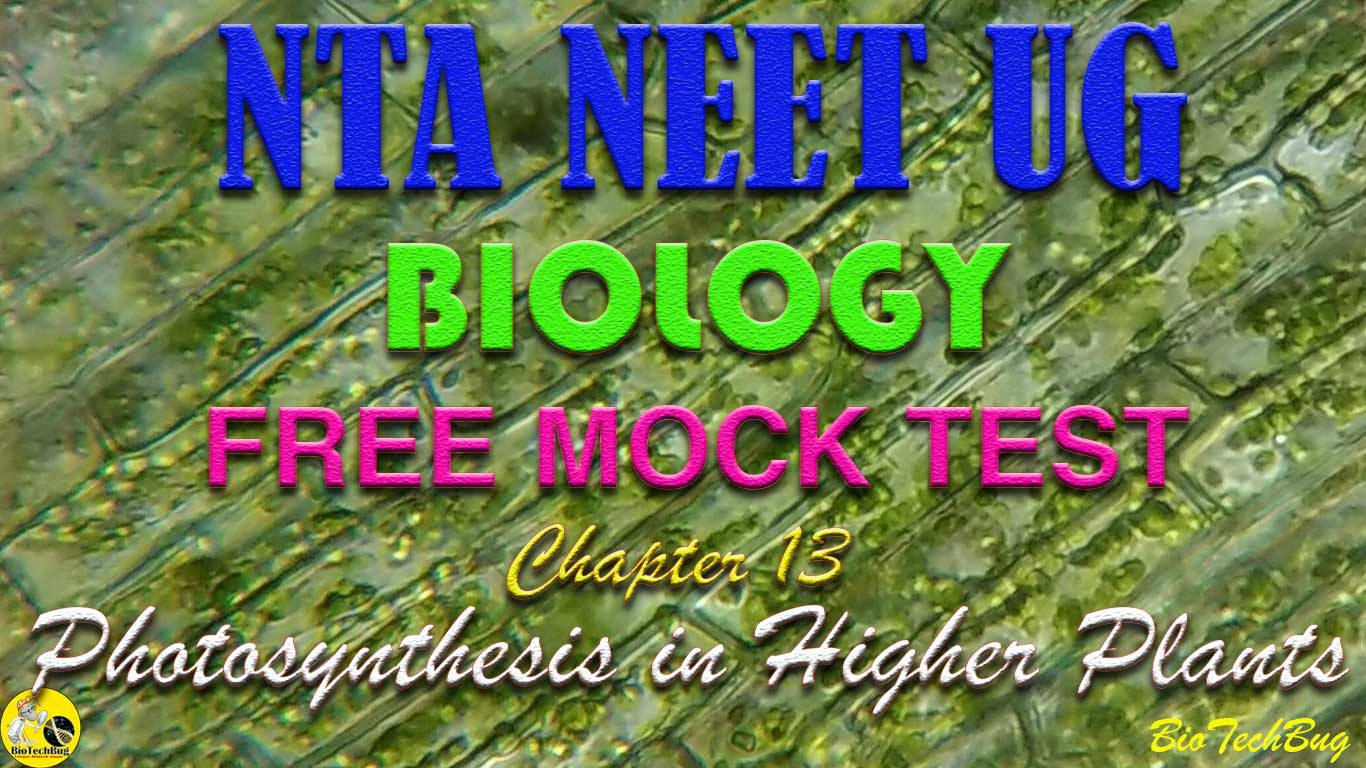 biology mock test for neet chapter wise