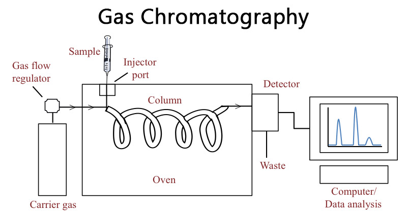 LOS PRINCIPIOS Y USOS DE LA CROMATOGRAFÍA DE GASES (GC) VIDEO ANIMACION