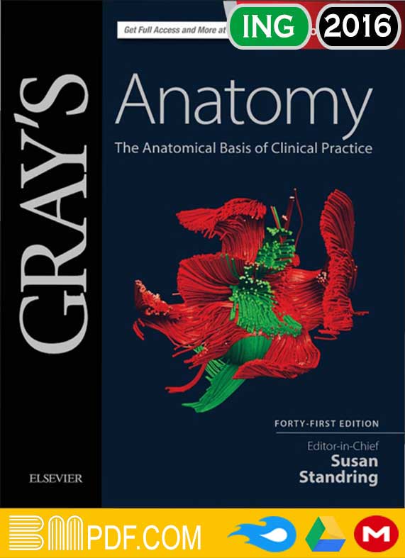 Gray's Anatomy The Anatomical Basis of Clinical Practice 41th edition PDF, Human Anatomy