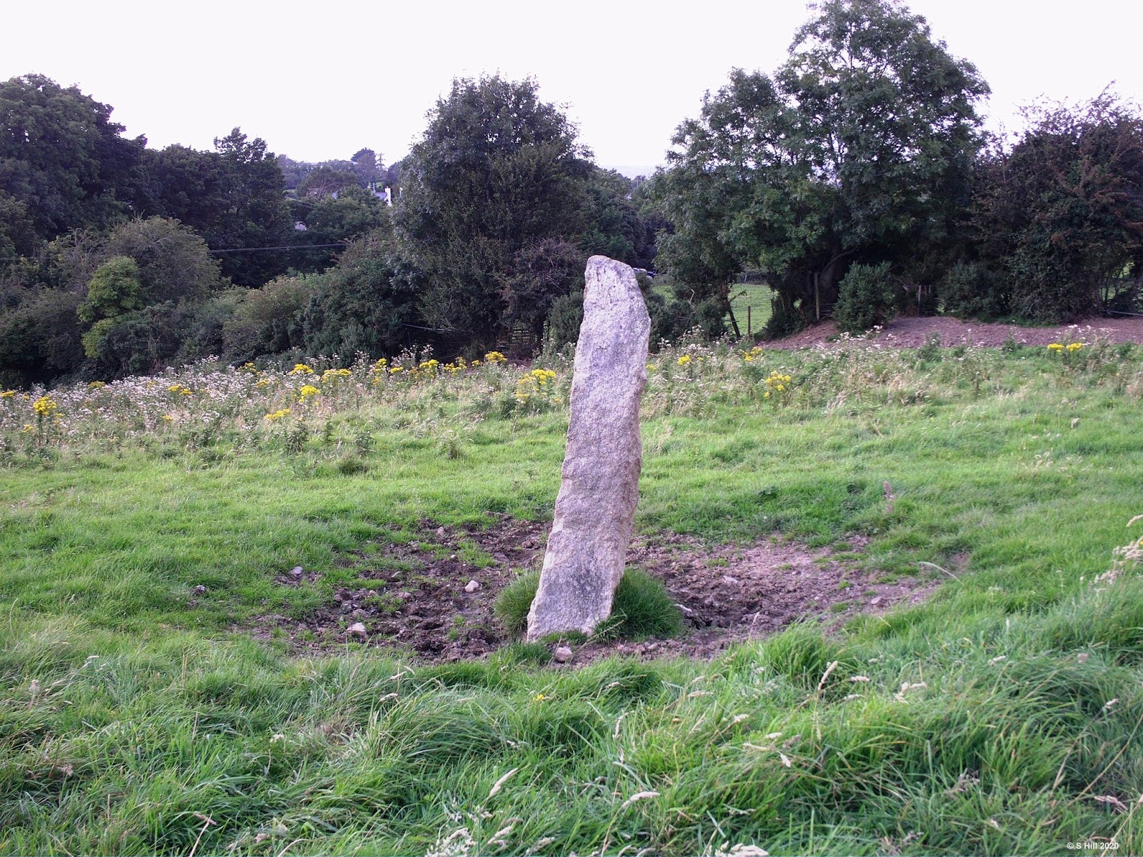 Ireland In Ruins Rockbrook Standing Stones Co Dublin