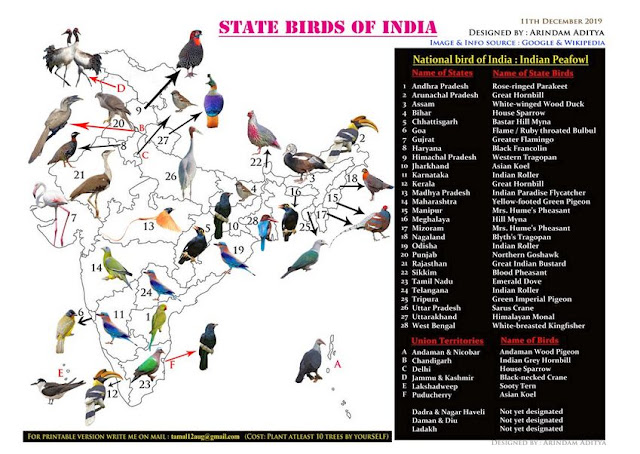 ARUNACHALA BIRDS
