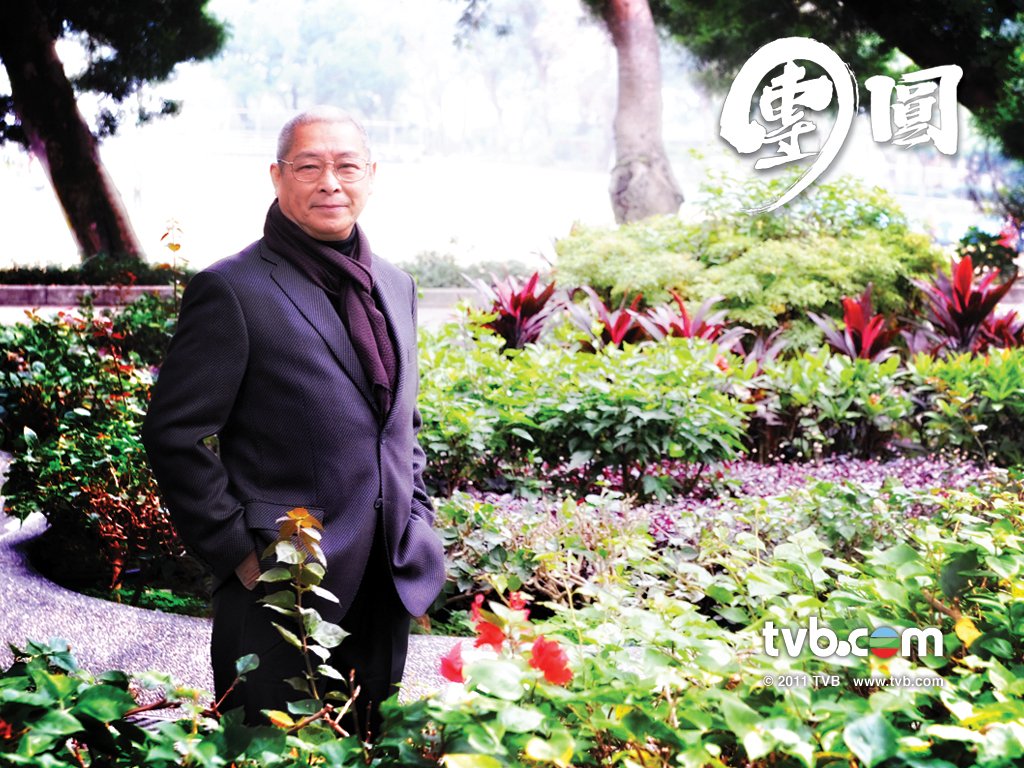 Just TVB Artist Wax and Wane 團圓 Posters