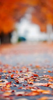 New CB Background HD Photo For Picsart Editing Download Zip -- new hd cb background pic New CB Background HD Photo For Picsart Editing Download Zip -- new hd cb background pic