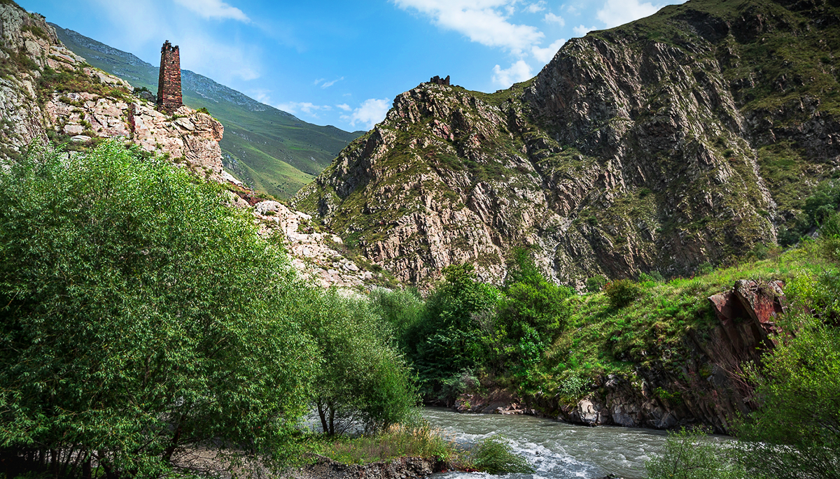 Аргунское ущелье мешехи