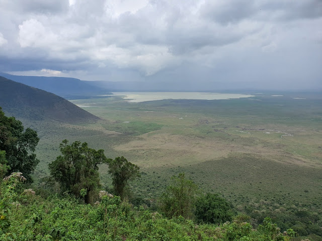 Cratera Ngorongoro Tanzânia