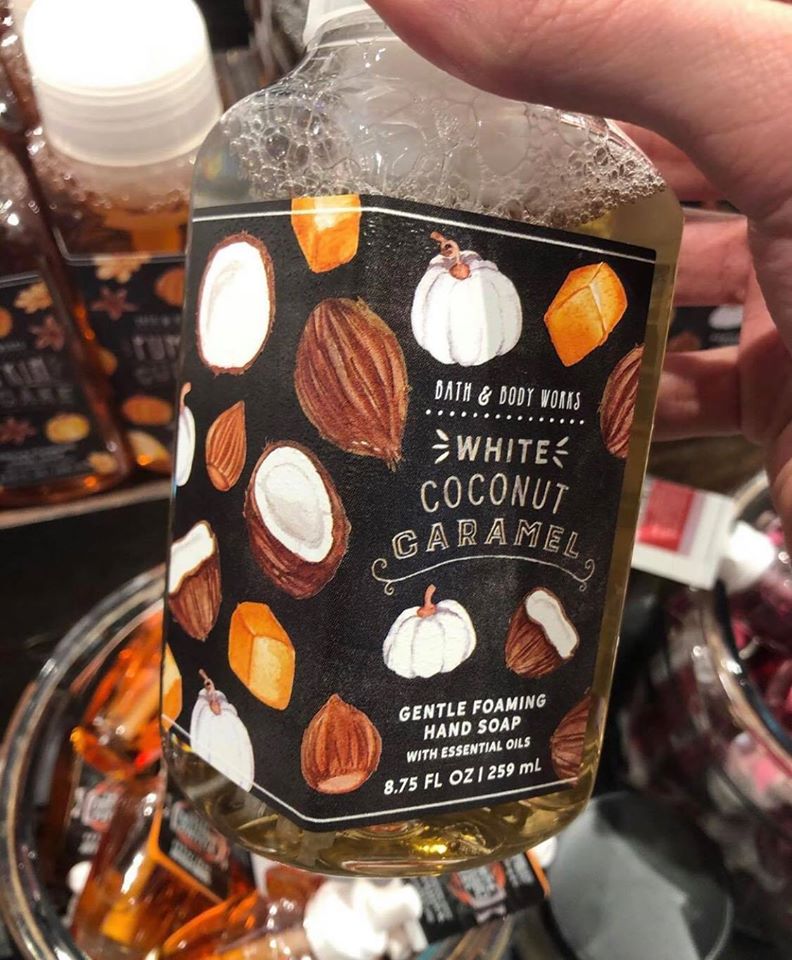 Life Inside the Page Bath & Body Works New Fall Pumpkin Hand Soaps