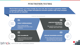 pentest nedir