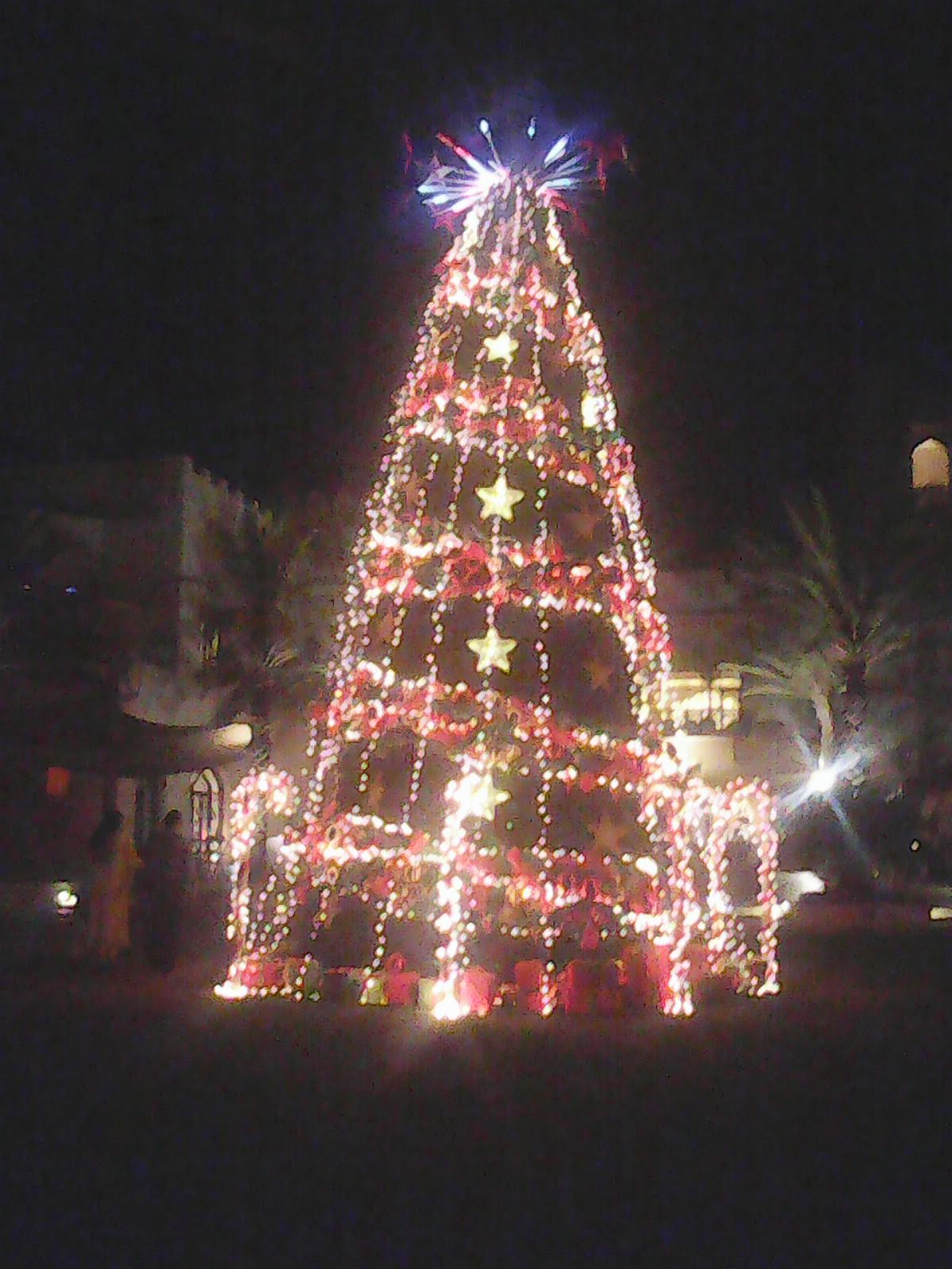 Oman Coast Compliments of the Season Shangrila Christmas Muscat