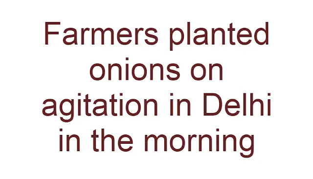 Farmers planted onions