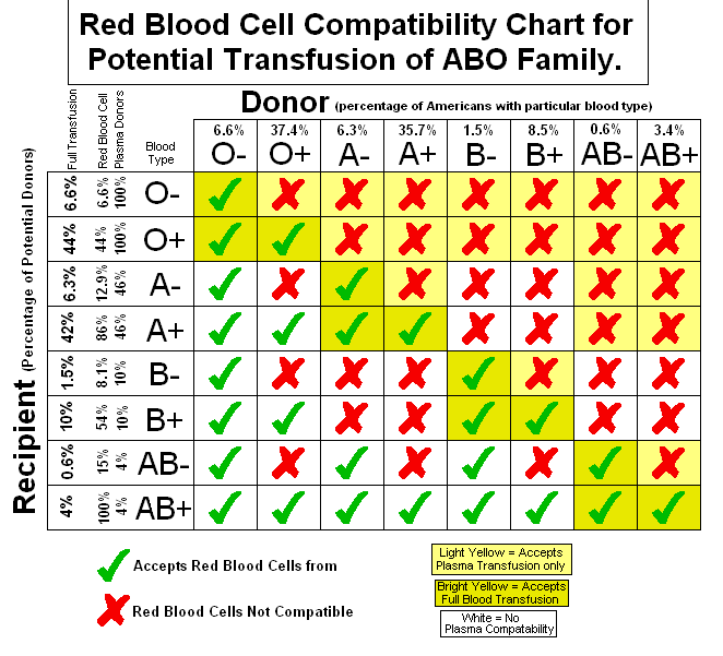 punnett-s-square-convert-blood-types-into-type-o