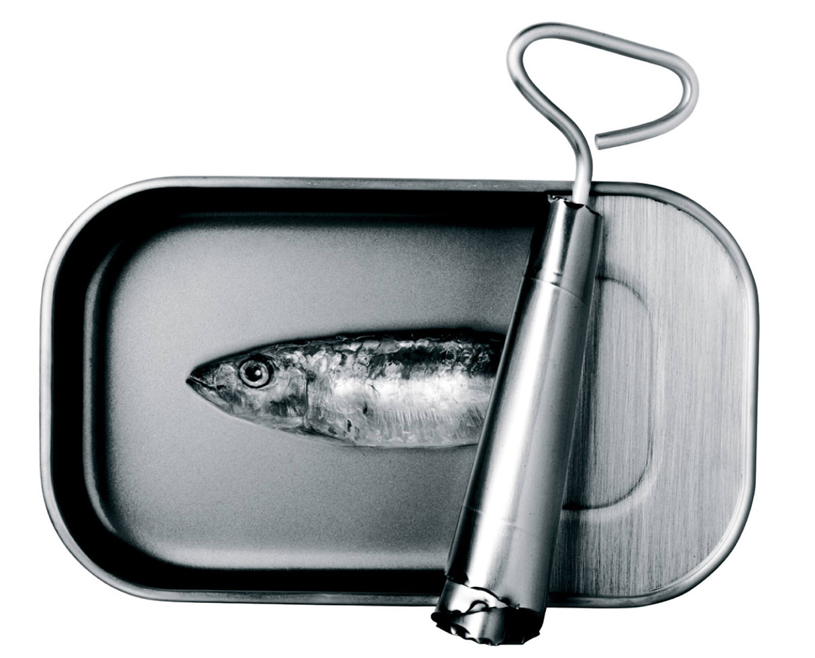 Sardine Tin Fish Product and Ways to Use Them Frozen Sardine Fish