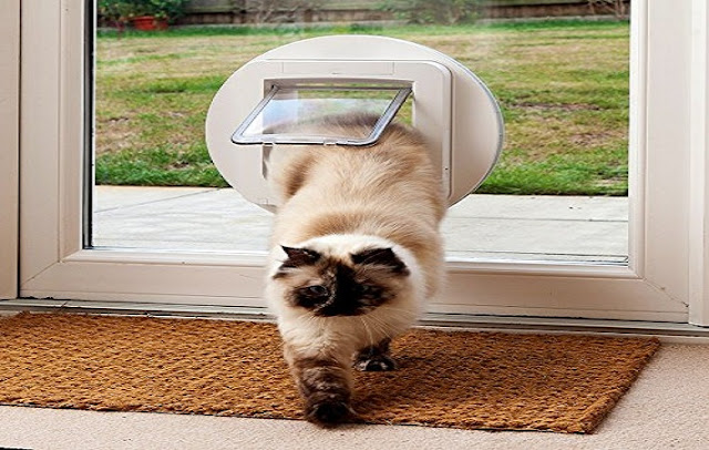 cat flap door