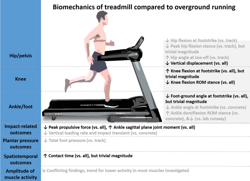 Running Training Correre sul Tapis Roulant e all'Aria Aperta Quali