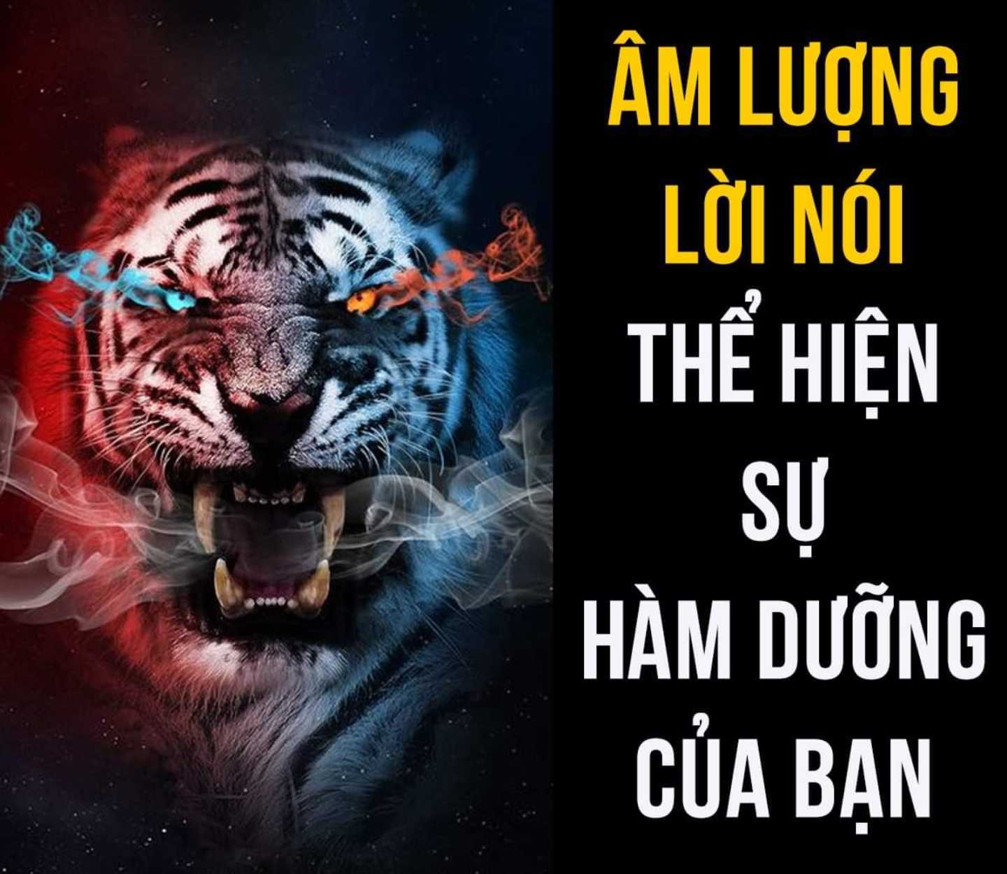 NGƯỜI CÓ TRÌNH ĐỘ GIÁO DỤC CÀNG CAO CÀNG CHÚ TRỌNG CƯ XỬ VĂN MINH VÀ ĐỂ Ý ĐẾN GIỌNG MÌNH LÚC NÓI CHUYỆN!