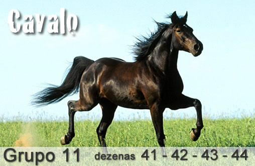 Eu quero jogo do cavalo Eu quero jogo do cavalo