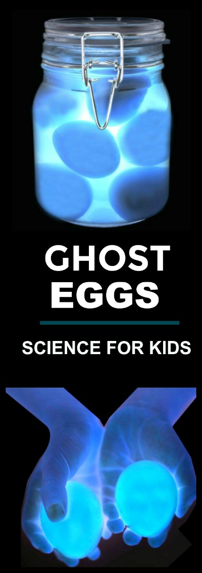 Ghost Eggs Experiement | Growing A Jeweled Rose
