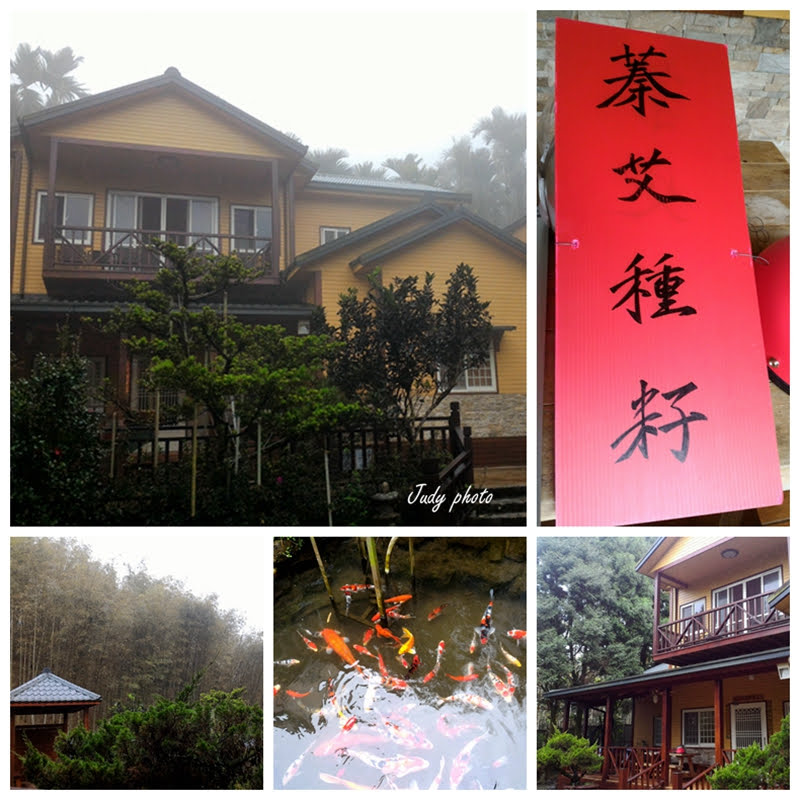 【溪頭素食餐廳】蓁艾家圓接待家庭 美味料理吃了大呼過癮(純素 【溪頭素食餐廳】蓁艾家圓接待家庭 美味料理吃了大呼過癮(純素