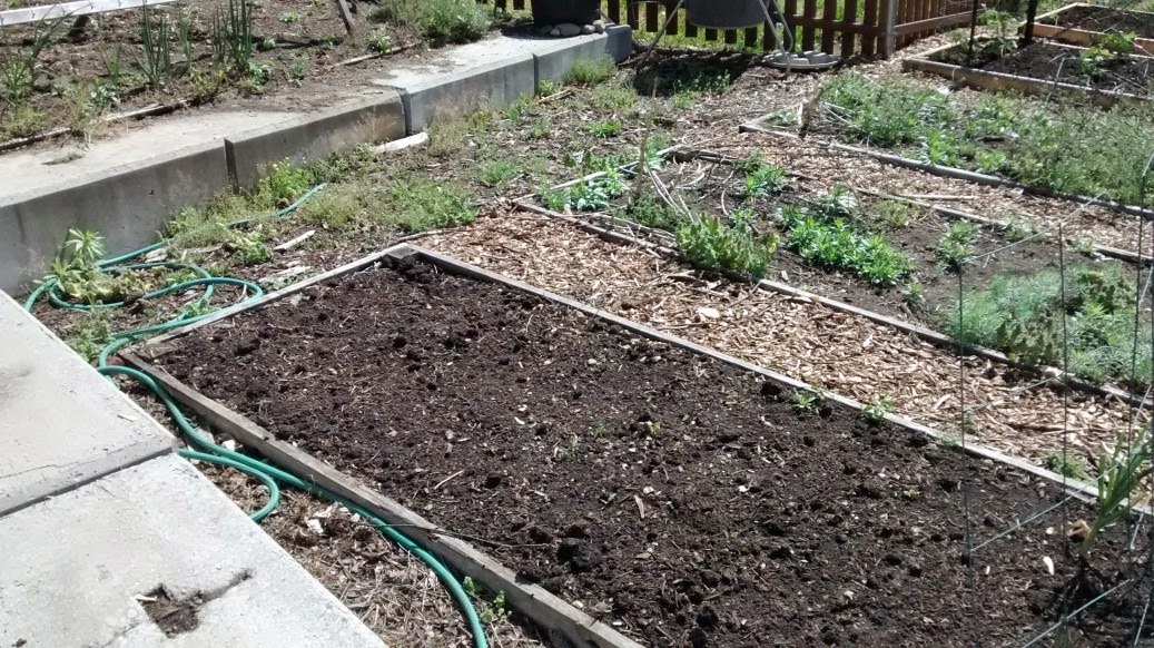 Davis Park Community Garden: Wood chips, wood chips, wood chips
