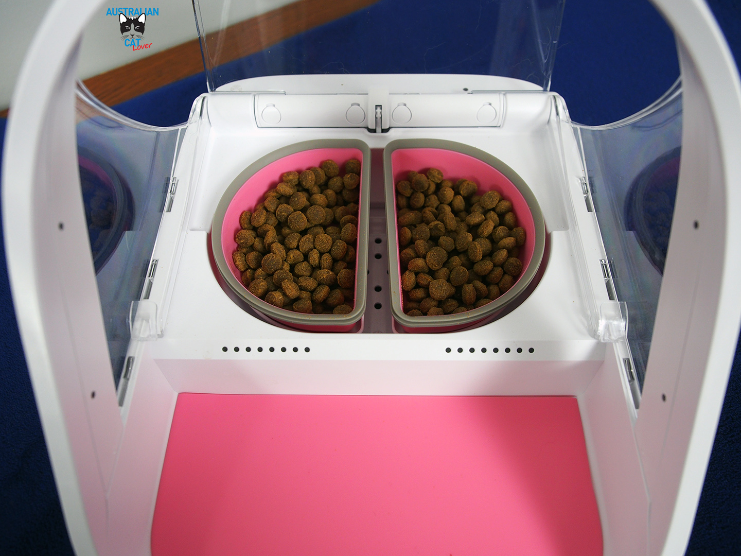 microchip cat feeder for 2 cats
