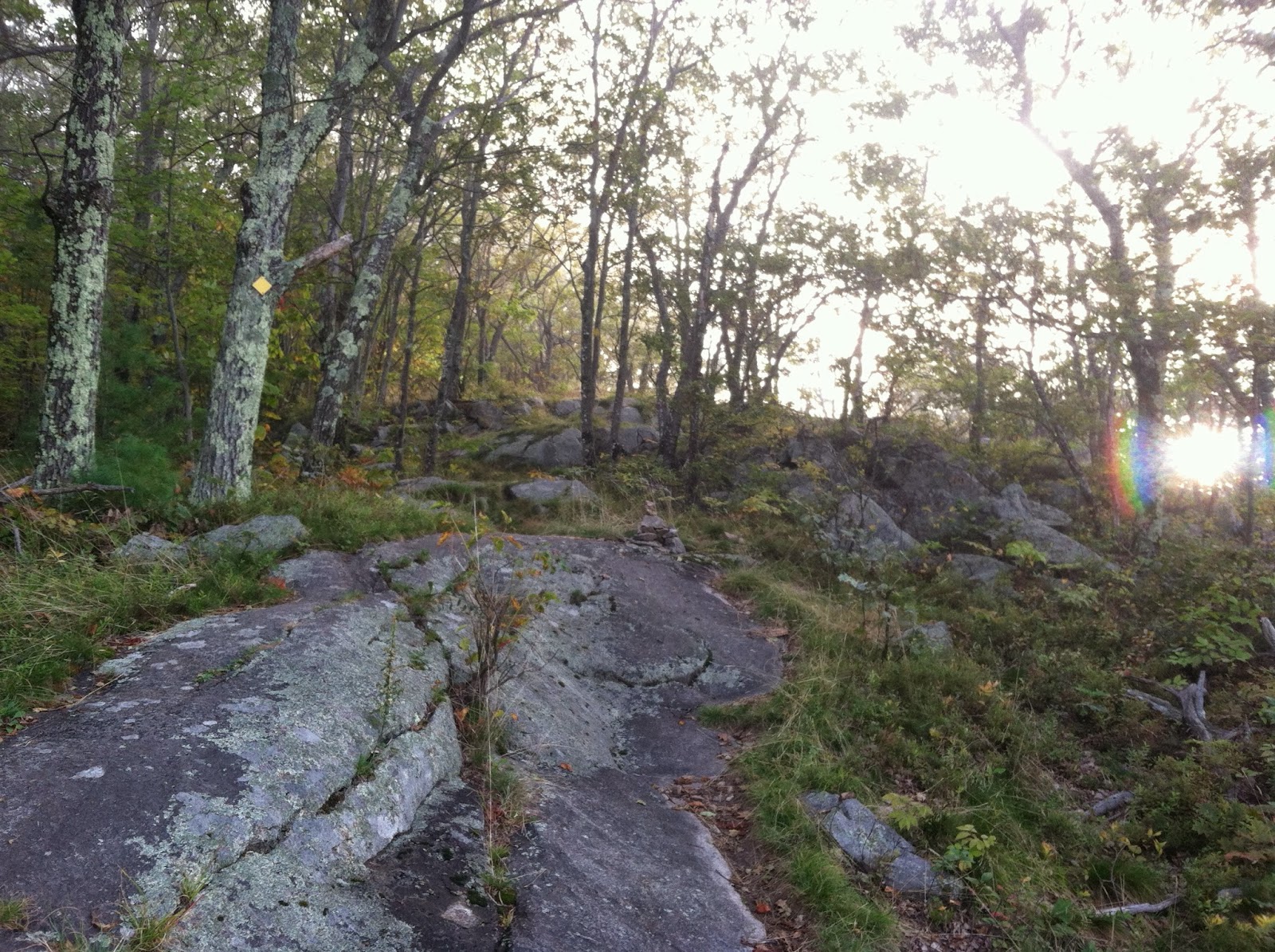 Early Morning Trails Training - IMG 0848.JPG