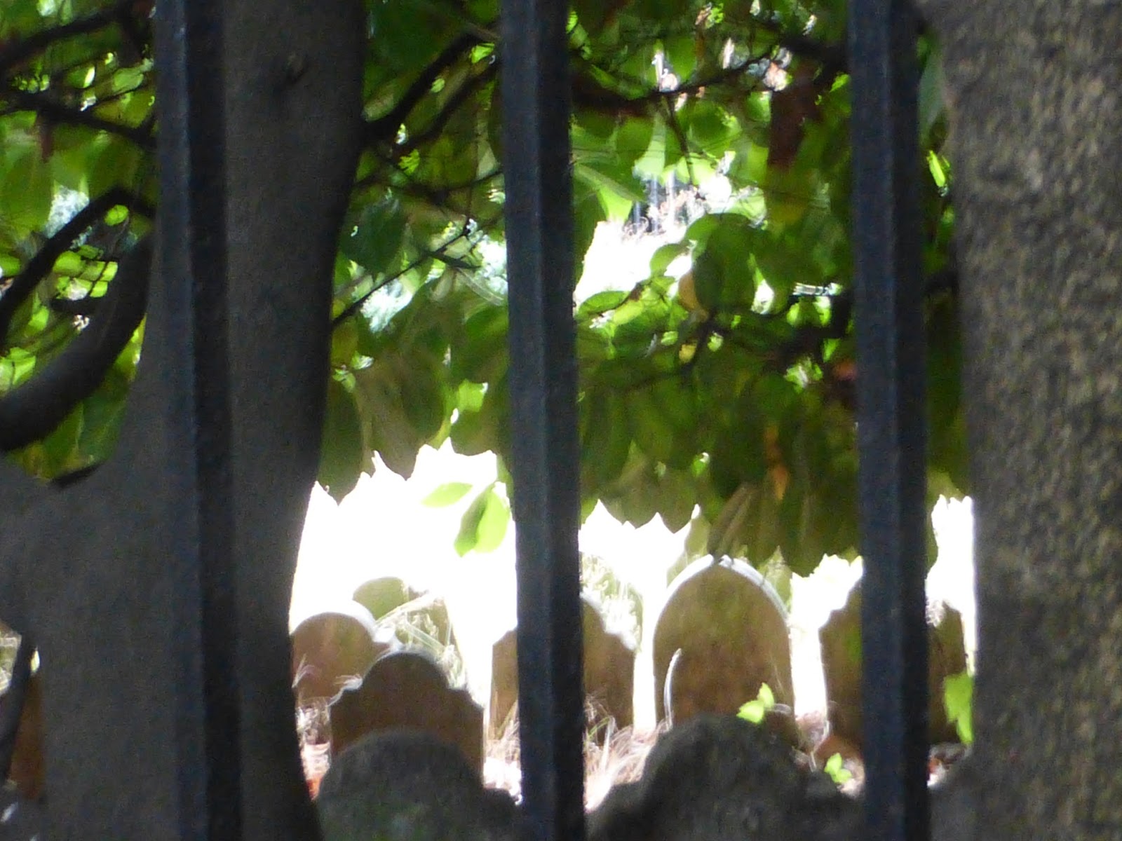 62andthenext10pathways Lancaster Gate