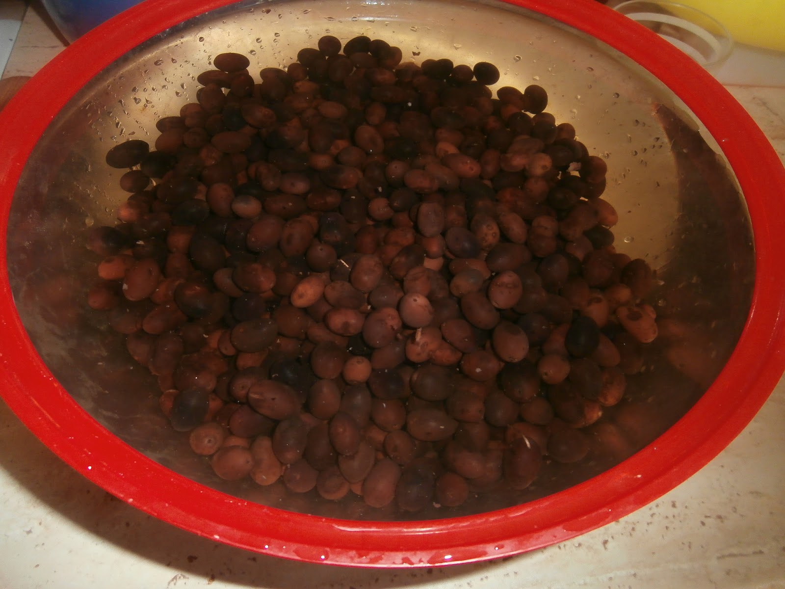 LES RECETTES CHOUETTES DE SISSI: PRÉPARATION DE MES OLIVES NOIRES...