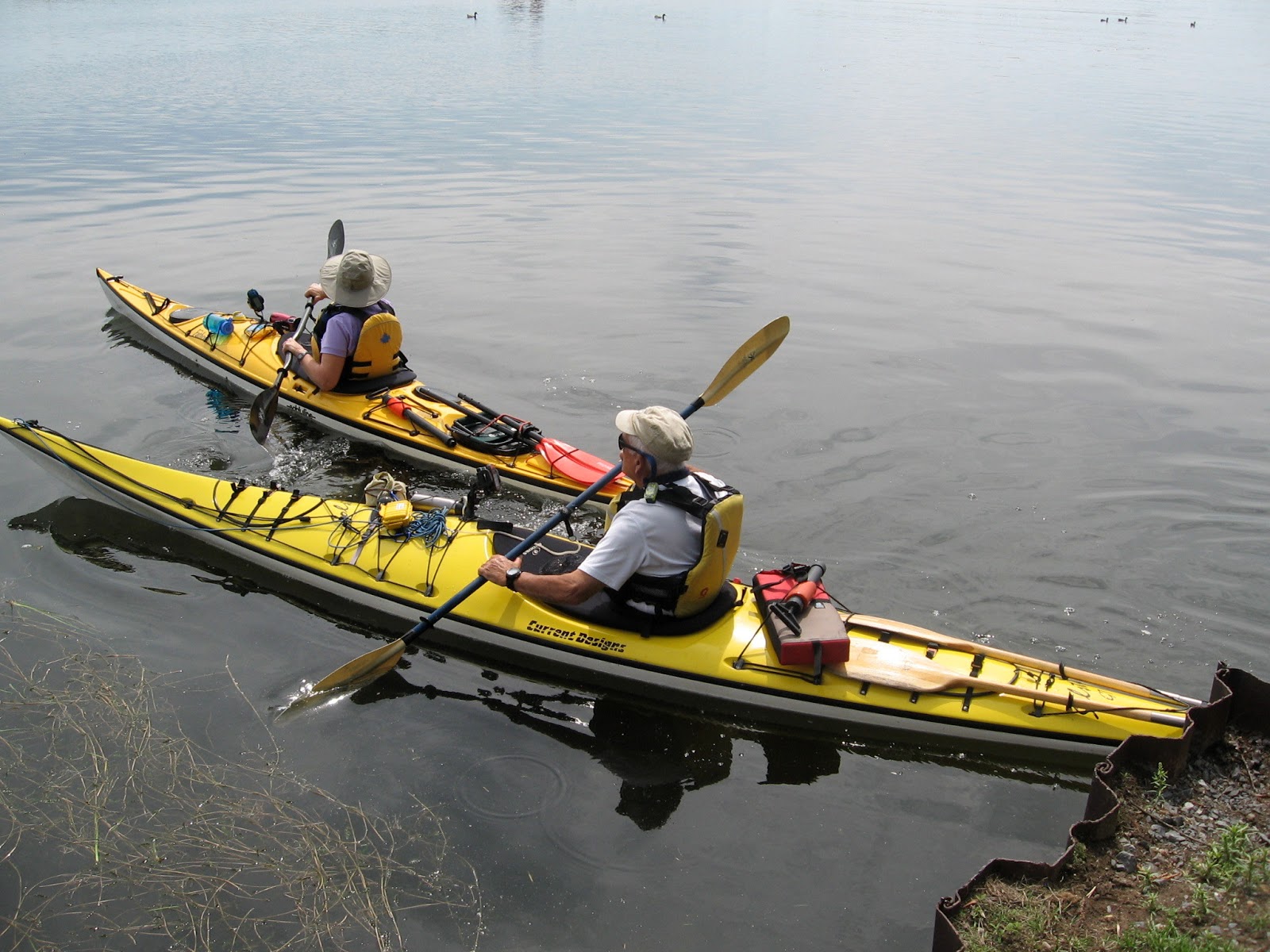 BirdingKayakingBabbling Rideau Canal Kayak Camping Kingston to Ottawa