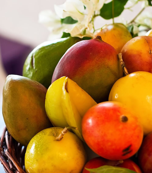 Plant Life: Structure and Types of Fruit