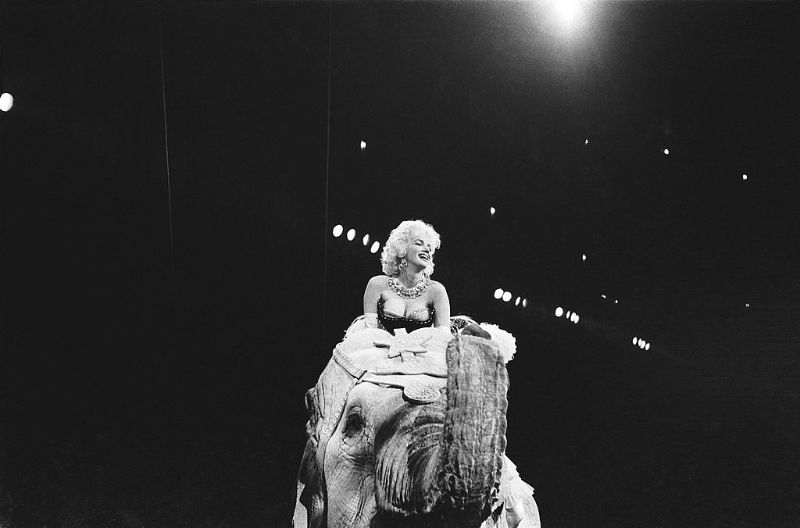 Striking Vintage Photos of Marilyn Monroe Riding a Pink Elephant ...