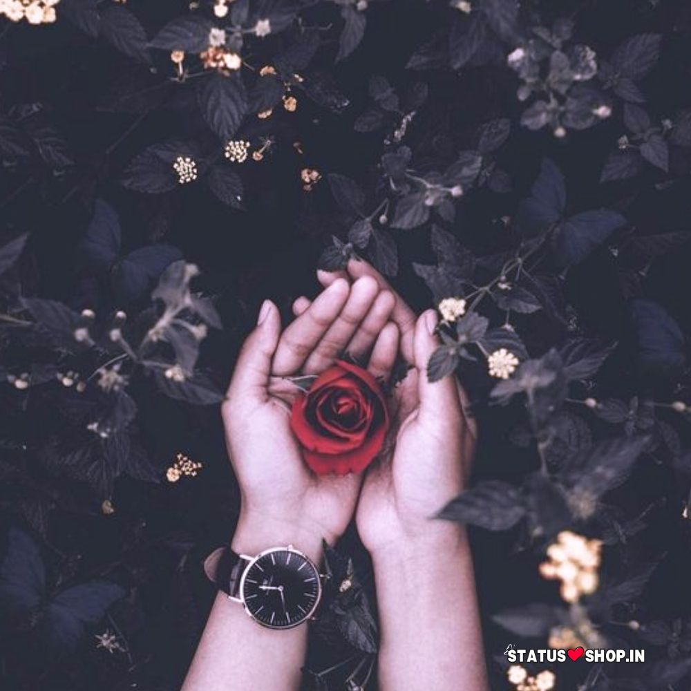 300+ Beautiful Instagram DP for Girls 2024 Status Shop