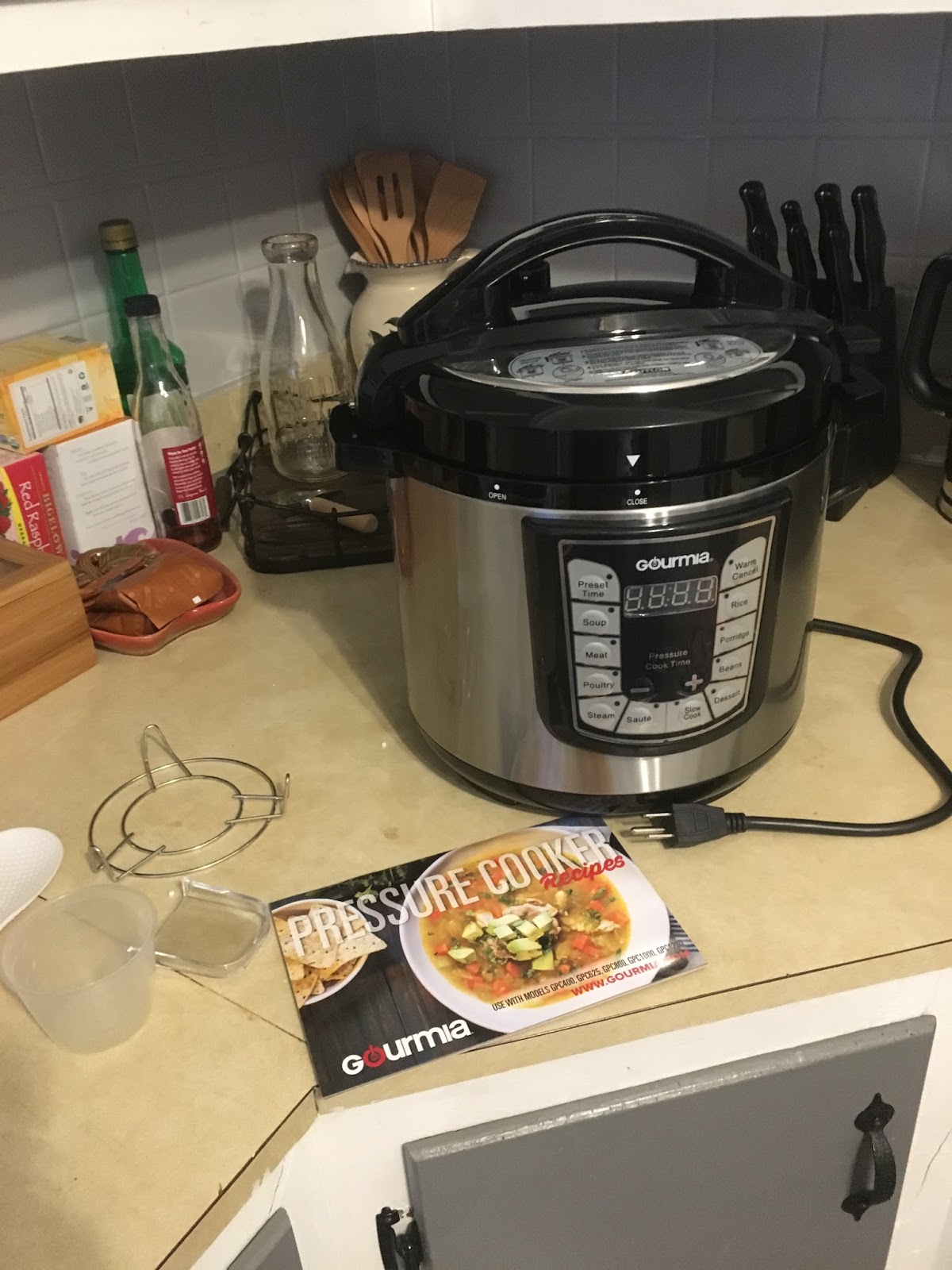 Nesca's Nook Gourmia Pressure cooker & easy Salsa chicken