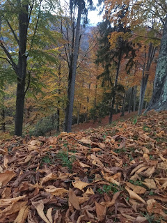 Sacred Mountain of Graglia Near Biella, Italy,tourist attractions in Italy