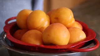 Apricot