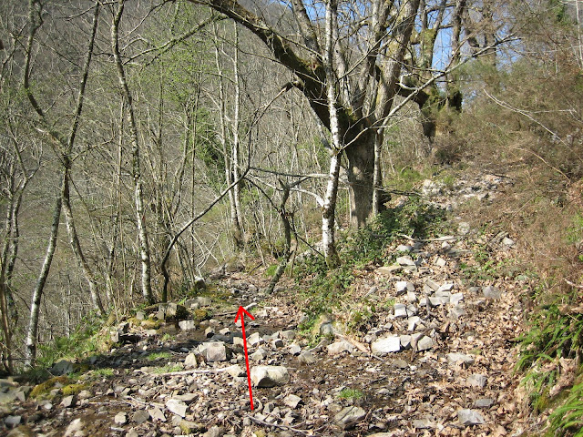 Desviación izquierda del camino junto al río