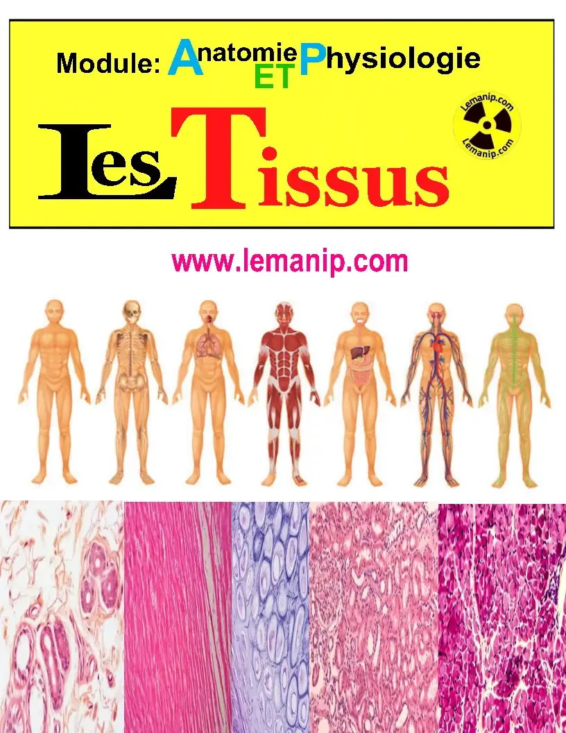 Module : Anatomie  Et Physiologie  Les tissus      Corps Humain Femme Et Homme