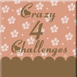 Crazy 4 Challenges