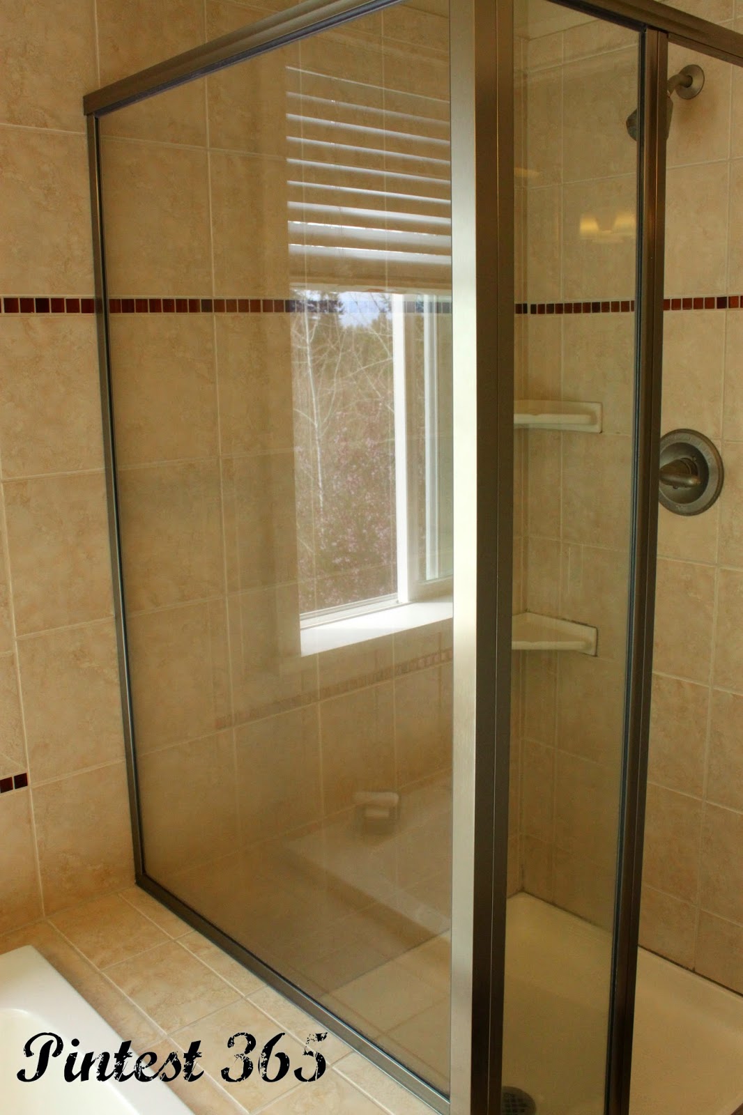 Pintest 365. Day 73 Cleaning Soap Scum off Shower Doors (success).