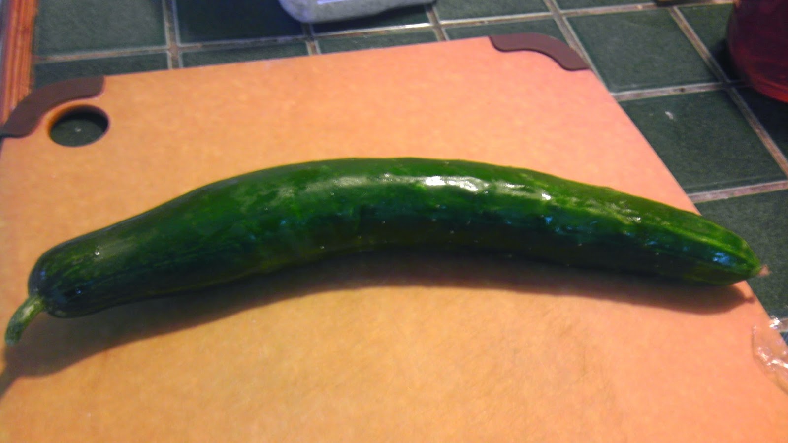 Gardening in Central Florida First cucumber of the season...