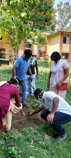tree-plantation-jamshedpur