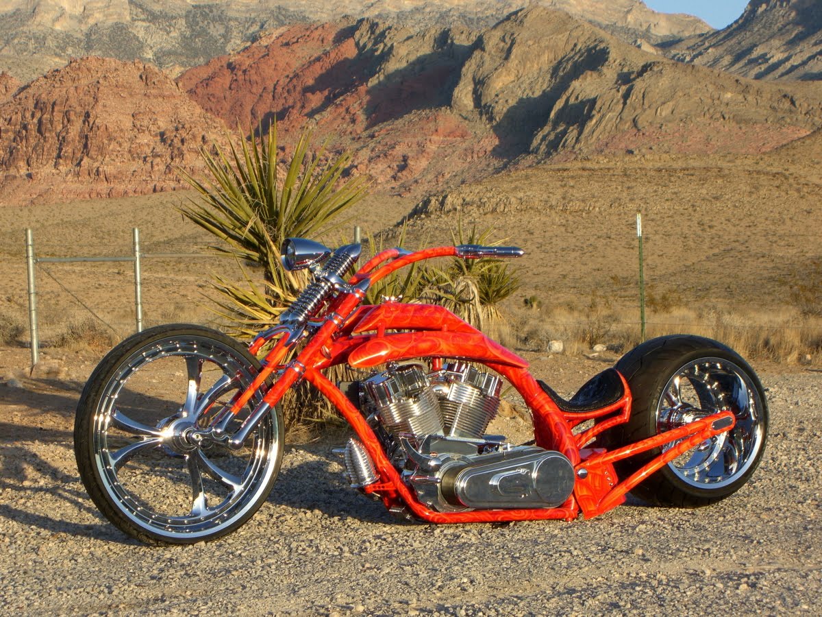 DAILY PICS: COOL CHOPPERS