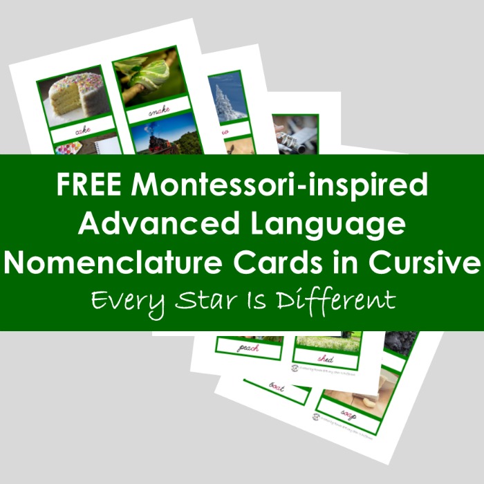 Advanced Language Nomenclature Cards in Cursive