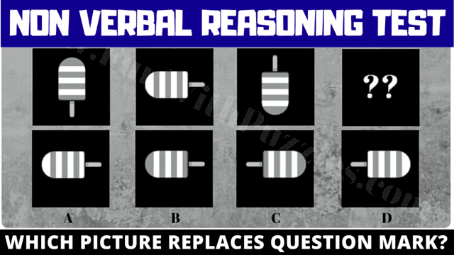 Picture Puzzles: Can You Decode the Non-Verbal Patterns?