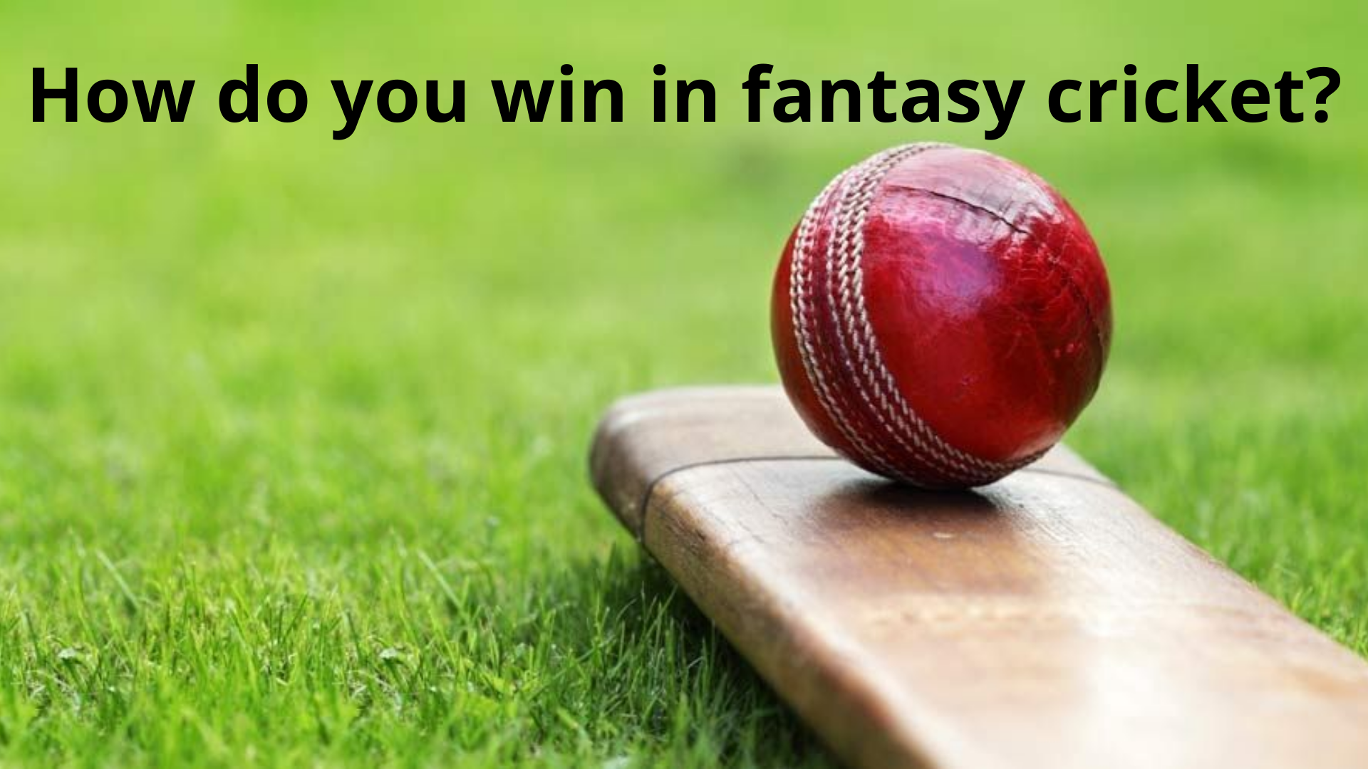 How do you win in fantasy cricket?