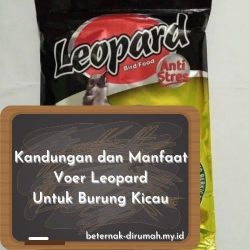 Manfaat Kandungan Voer Leopart Hijau Dan Kuning