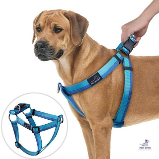 Front Clip Dog Harness