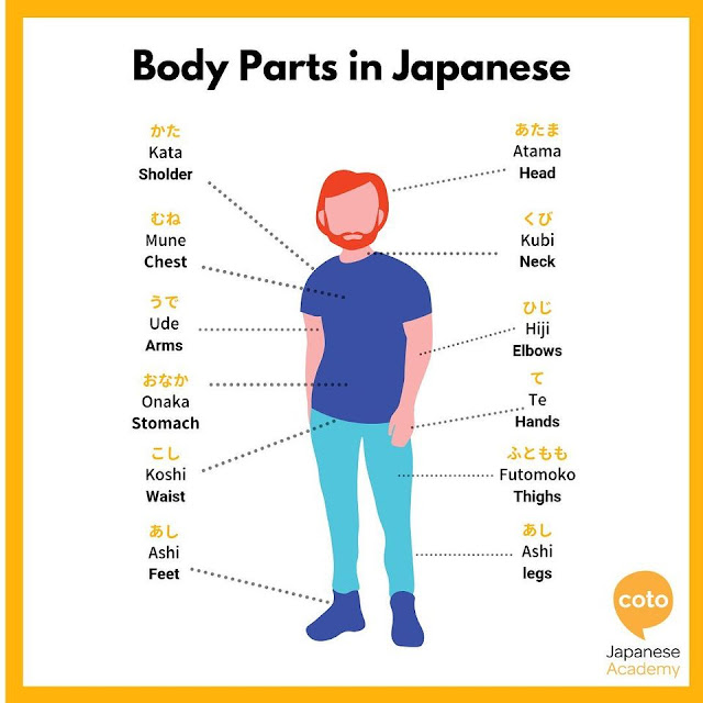 Bagian tubuh dalam bahasa Jepang