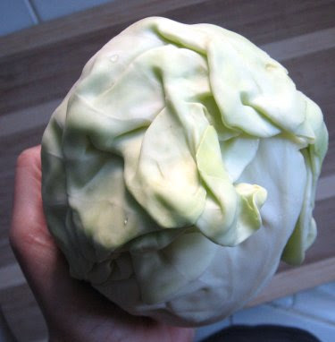 green cabbage