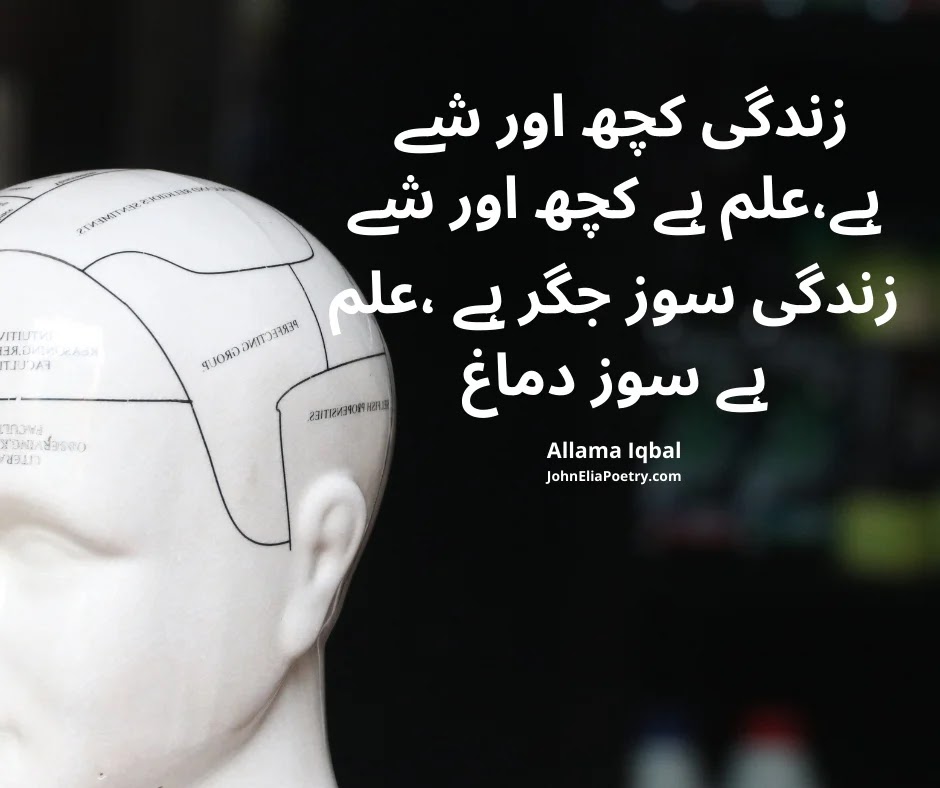 زندگی کچھ اور شے ہے،علم ہے کچھ اور شے زندگی کچھ اور شے ہے،علم ہے کچھ اور شے