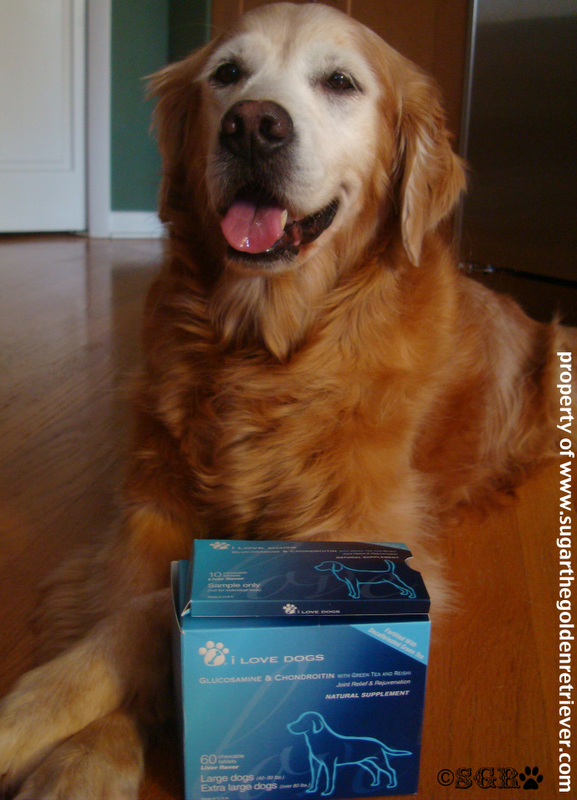 Being a Senior Dog Need For Glucosamine Golden Woofs