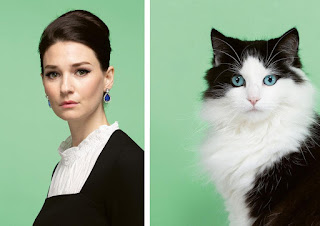 Un fotógrafo compara retratos de gatos y humanos